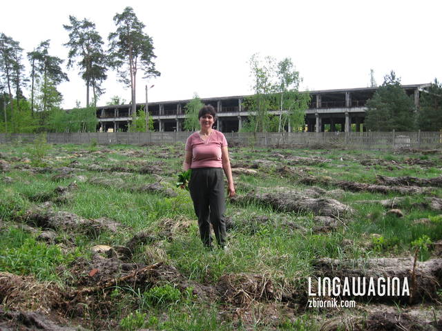 W. 12.05.13 036.jpg - lingawagina