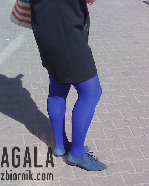 DSC02500kol.jpg - AGALA