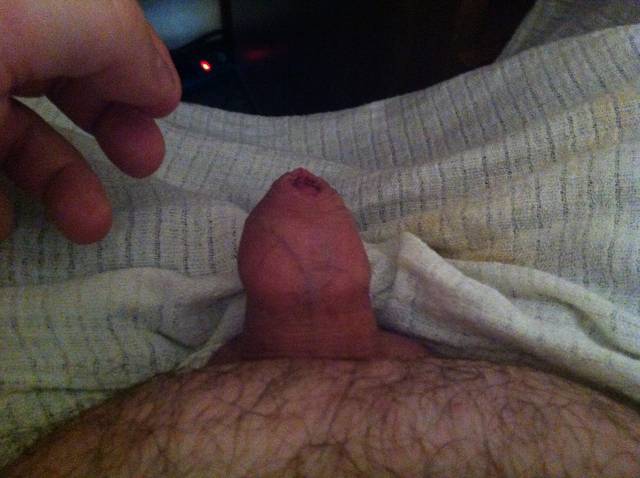 IMG_0077.JPG - karamba1973