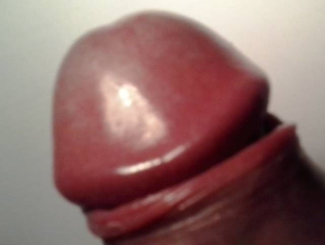 Fujara 2.jpg - mercury23