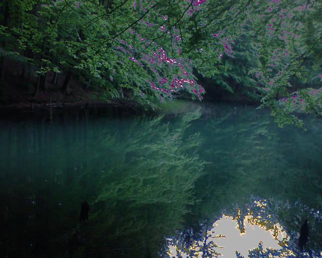 Obraz 005.jpg - dyskretnieskuteczny30