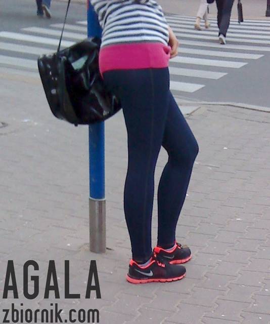 DSC02736L.jpg - AGALA