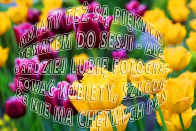 Kwiat są piękne ale ja wolę kobiety :) - amorkibz