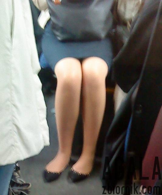 DSC02785kl.jpg - AGALA