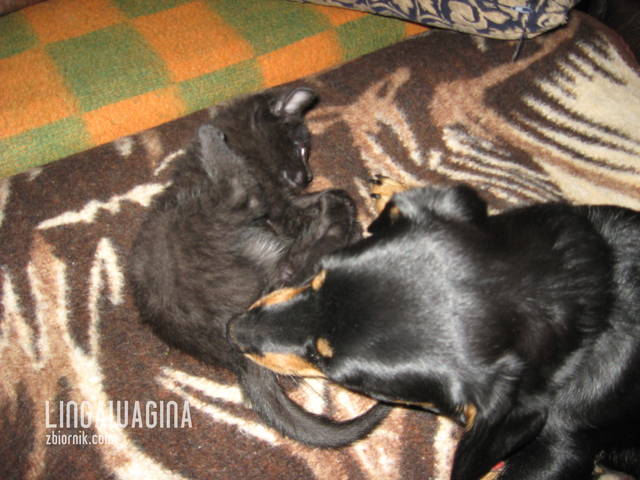 W.27.05.13 023.jpg - lingawagina