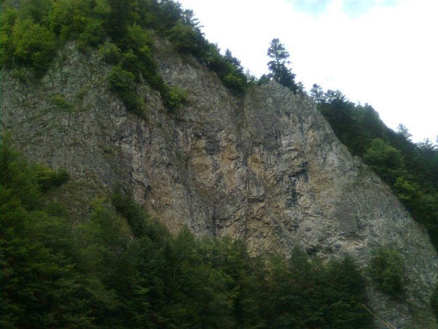 Palbo