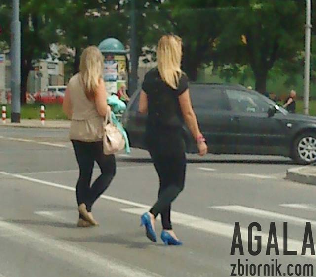 DSC02843L.jpg - AGALA