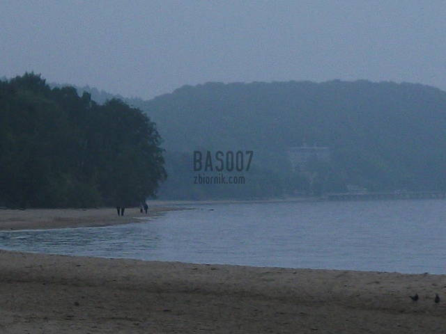 bas007
