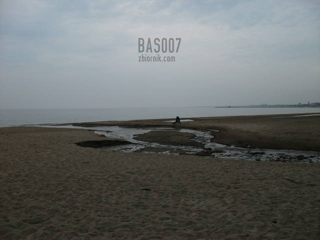 bas007