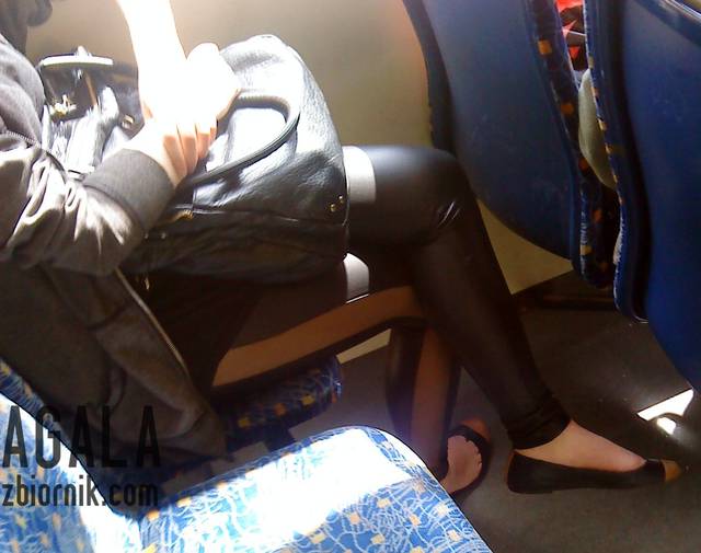 DSC02860L.jpg - AGALA