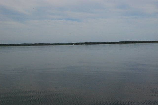 gryf69