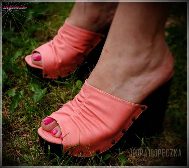 Koturny II 15 - 100pa100peczka