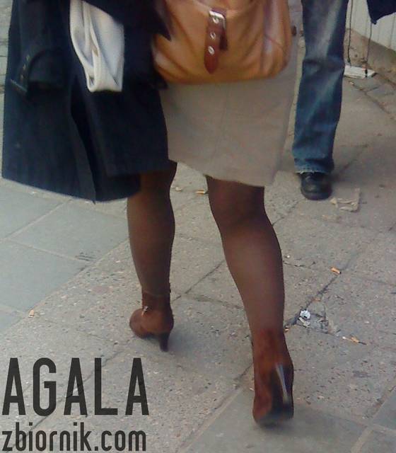 DSC02878v.jpg - AGALA