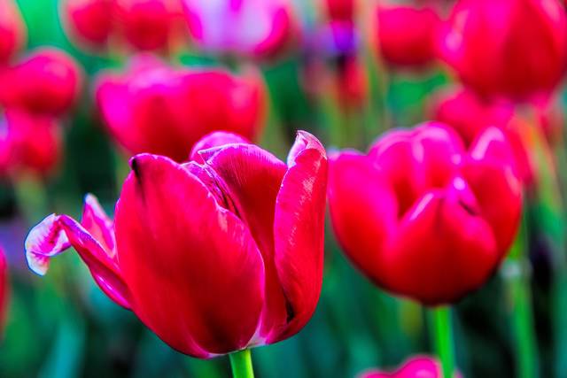 Może tobie zrobić taką piękną fotkę ??? - amorkibz