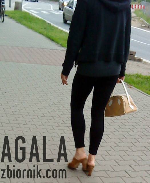 DSC02939L.jpg - AGALA