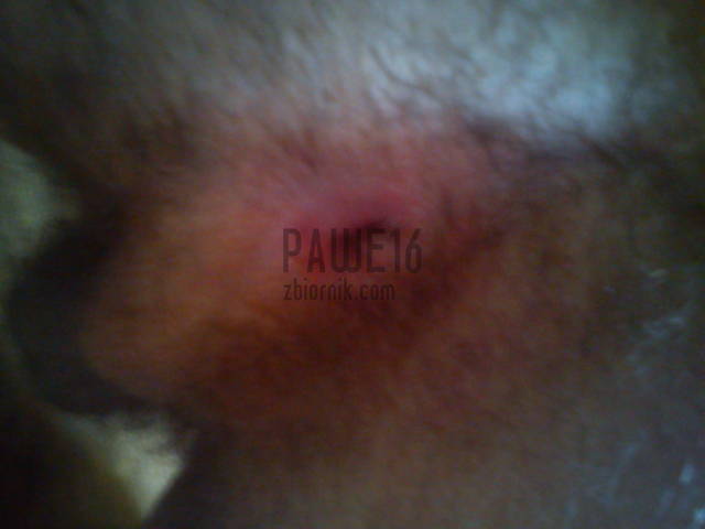 Taka ciasna - pawe16