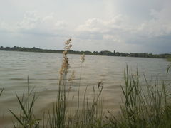 IMG_20130609_145017.jpg