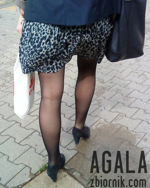 DSC02966cz.jpg - AGALA