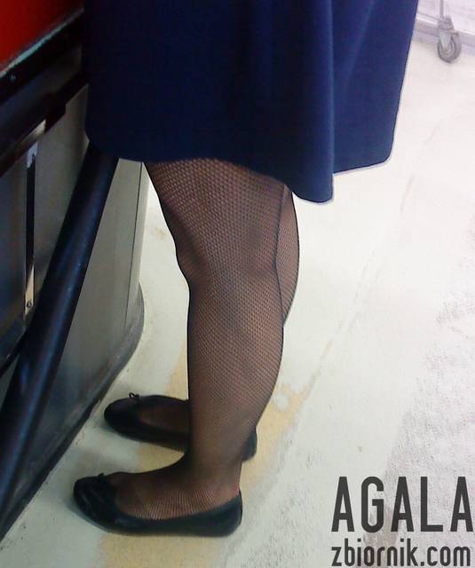 DSC03012odj.jpg - AGALA