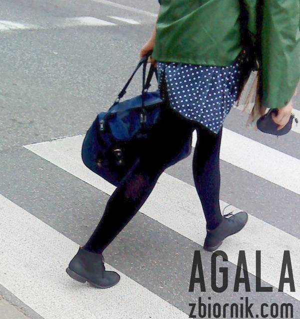 DSC02999cz.jpg - AGALA