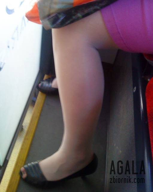 DSC03072kl.jpg - AGALA