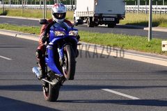 Moj Mis lubi ostrą jazdę