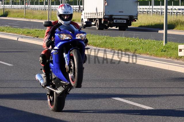 Moj Mis lubi ostrą jazdę - Eurydyka2956