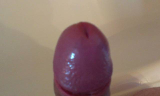 IMAG0049.jpg - oBATMANo