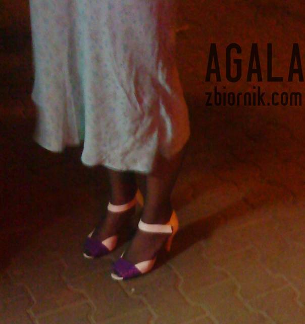 DSC03219cz.jpg - AGALA