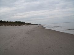 Obraz 009.jpg