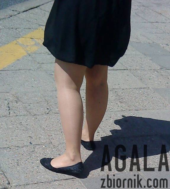 DSC03316kl.jpg - AGALA