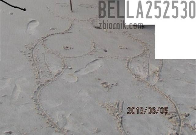 :) - bella252530