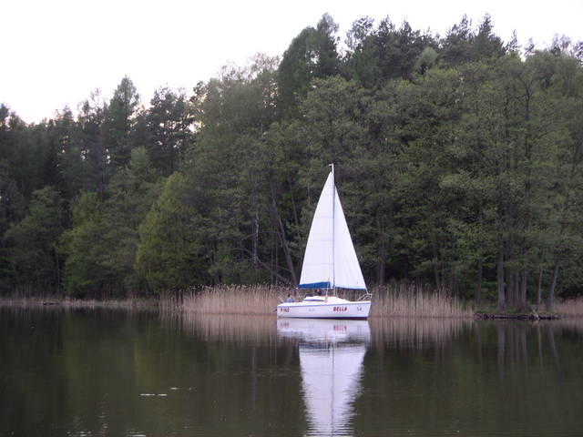 Ja175