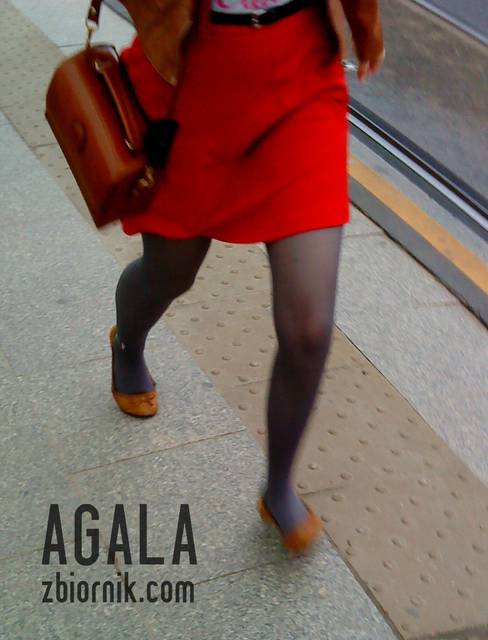 DSC03375v.jpg - AGALA