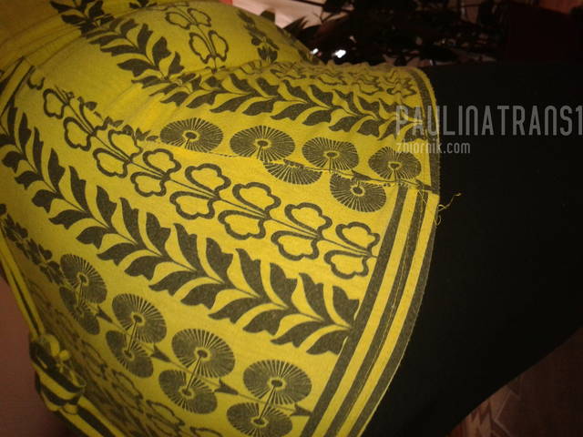 2013-06-28 15.43.50.jpg - paulinatrans1