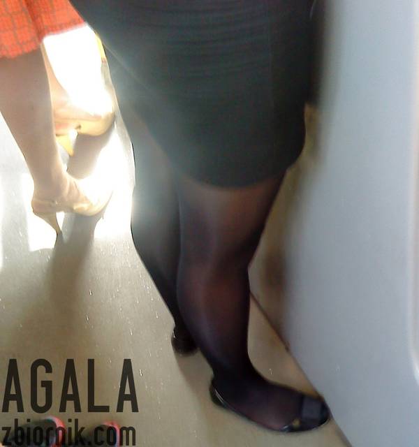 DSC03479cz.jpg - AGALA