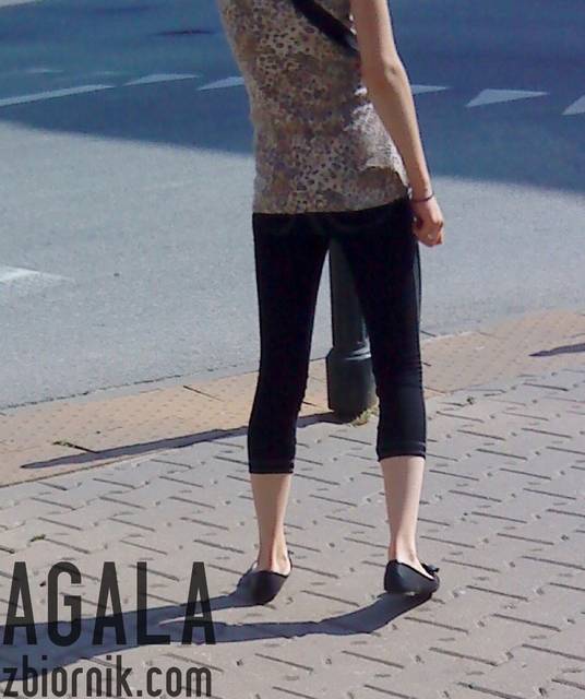 DSC03475L.jpg - AGALA