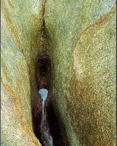 Otchłań rozkoszy...