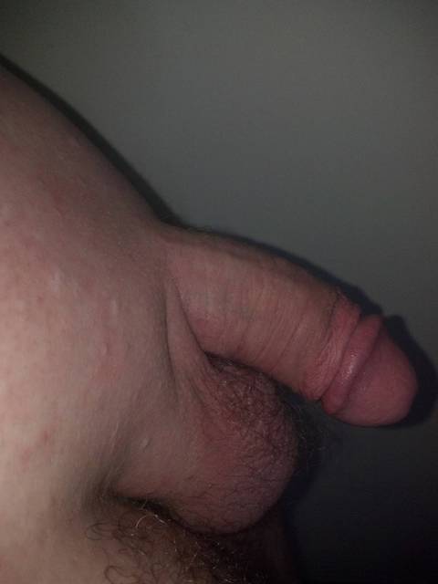 penis.jpg - frankBI