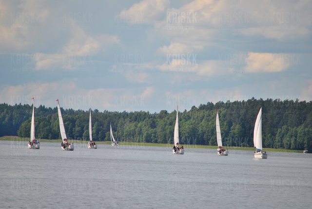 DSC_6571.JPG - kriskk