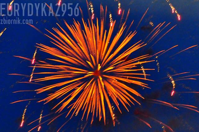 Dzien Niepodległosci - Eurydyka2956