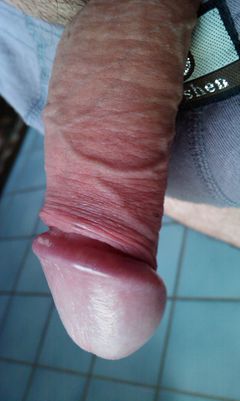 IMAG0222.2.jpg