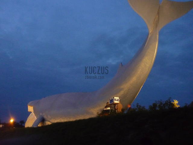 wakacje - kuczus