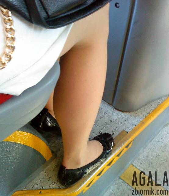 DSC03524kl.jpg - AGALA