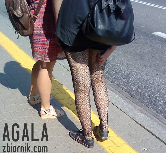 DSC03539odj.jpg - AGALA