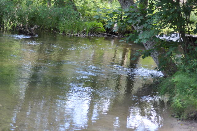 zatoczka :) - Eurydyka2956