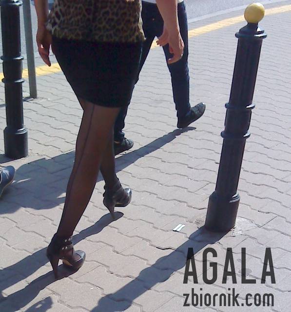 DSC03547odj.jpg - AGALA