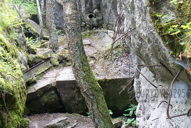 Gierłoż - Eurydyka2956