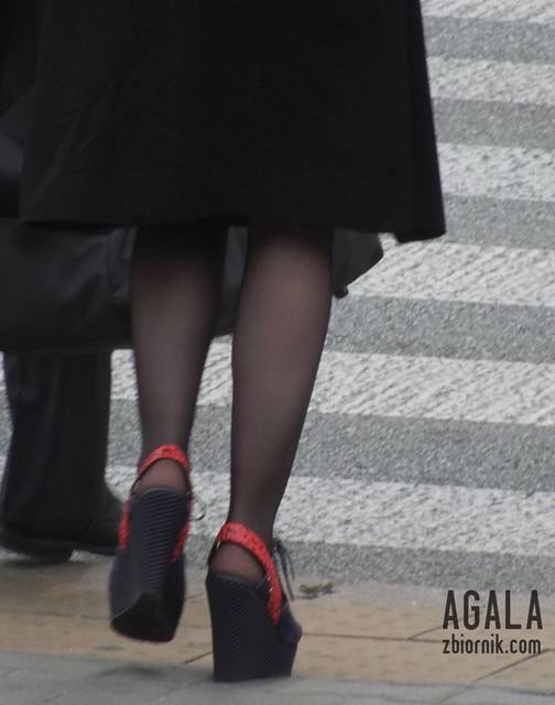 DSCF2887cz.jpg - AGALA