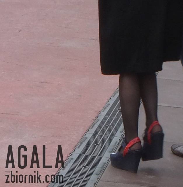 DSCF2885cz.jpg - AGALA